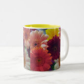 Gerbera Daisy Fleurs Photo Art Café Mugs (Devant droit)