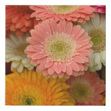 Gerbera Daisy Floral Canvas