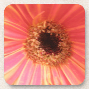 Gerbera Daisy Flower Cork Dessous de verre