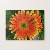 Gerbera Daisy Flower Puzzle (Horizontal)