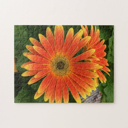 Gerbera Daisy Flower Puzzle (Horizontal)