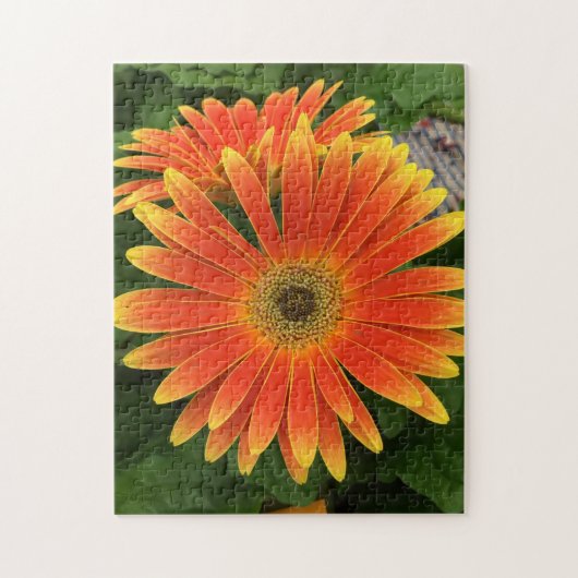 Gerbera Daisy Flower Puzzle Legpuzzel (Verticaal)