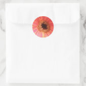 Gerbera Daisy Flower Stickers (Tas)