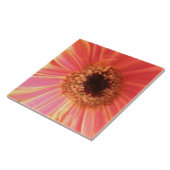 Gerbera Daisy Flower Tile Tegeltje (Zijkant)