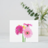 Gerbera Daisy Flowers Briefkaart (Staand voorkant)