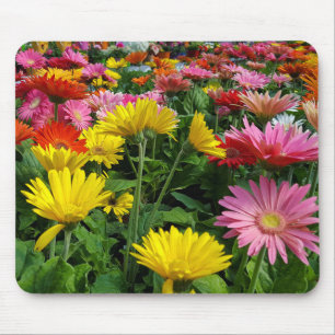 Gerbera Daisy Garden Muismat