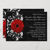 Gerbera Daisy Kaart (Voorkant / Achterkant)