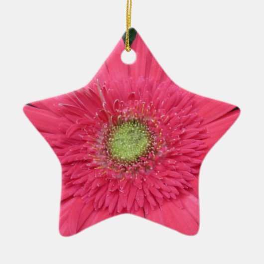 Gerbera Daisy Keramisch Ornament (Voorkant)