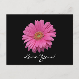 Gerbera Daisy Love You Briefkaart