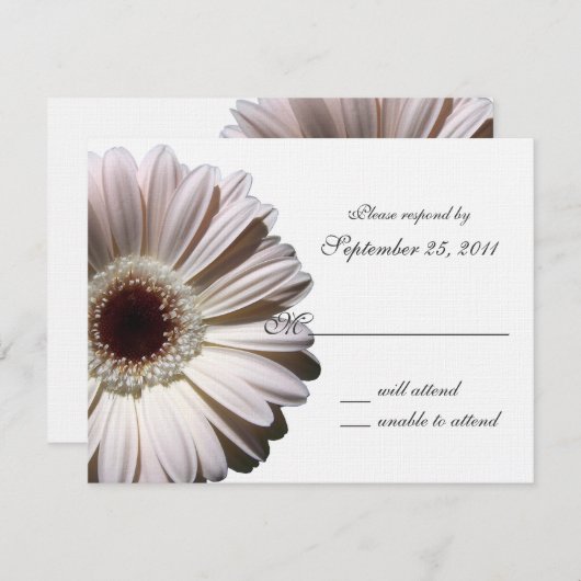 Gerbera Daisy Mariage/ Réponse (Devant / Derrière)