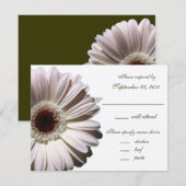 Gerbera Daisy Mariage/ Réponse (Devant / Derrière)