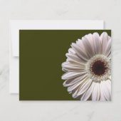 Gerbera Daisy Mariage/ Réponse (Dos)