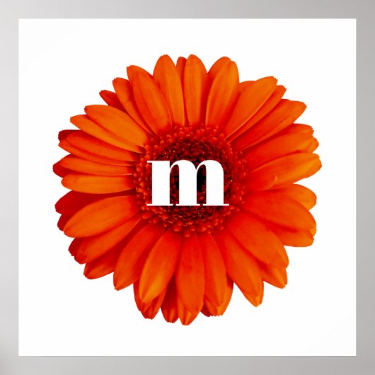 Gerbera Daisy Monogram Initiaal Poster (Voorkant)