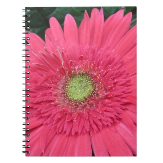 Gerbera Daisy Notitieboek (Voorkant)