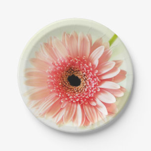 Gerbera Daisy Papieren Bordje