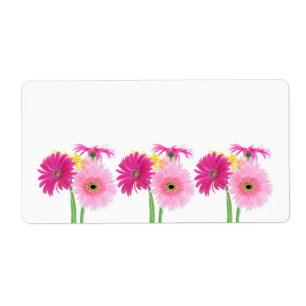 Gerbera Daisy Piink Flowers Etiket