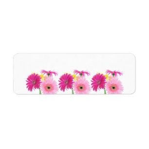 Gerbera Daisy Piink Flowers Etiket