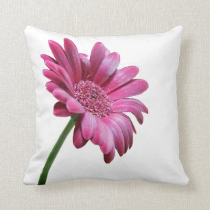 Gerbera Daisy Pillow Kussen