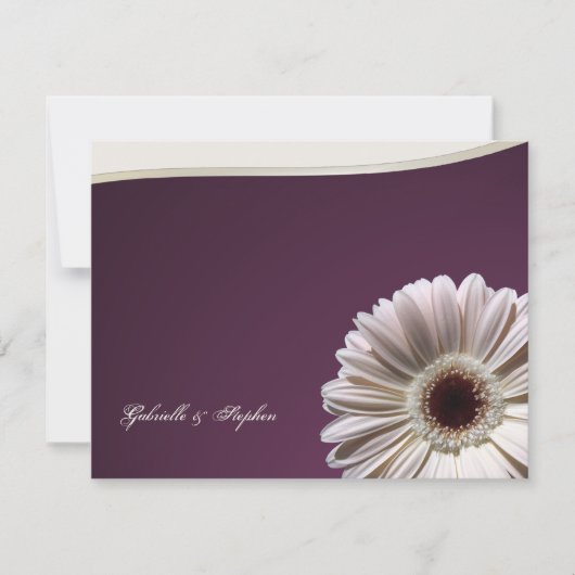 Gerbera Daisy / Plum Fancy Kaart (Voorkant)