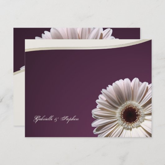 Gerbera Daisy / Plum Fancy Kaart (Voorkant / Achterkant)
