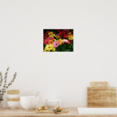 Gerbera Daisy Poster (Keuken)