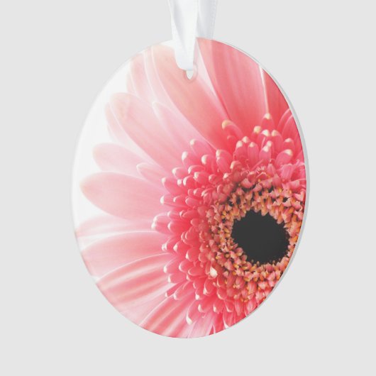 Gerbera Daisy Poster Ornament (voorkant)