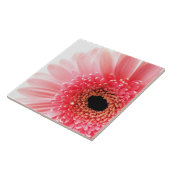 Gerbera Daisy Poster Tegeltje (Zijkant)