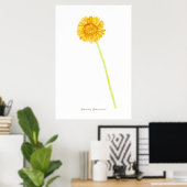 Gerbera daisy Print, Value Poster Paper (Matte) (Bureau à domicile)