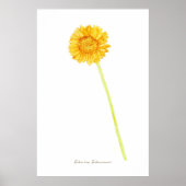 Gerbera daisy Print, Value Poster Paper (Matte) (Devant)