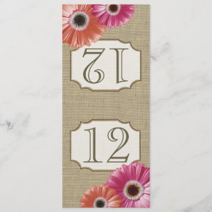 Gerbera Daisy Roze en Koraal Tafelnummer