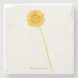 Gerbera daisy stenen onderzetter