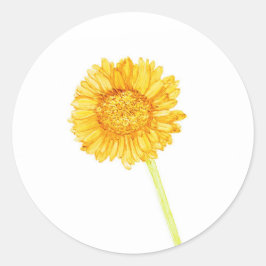 Gerbera daisy Sticker