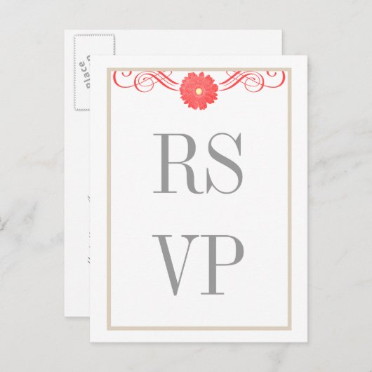 Gerbera Daisy Swirls Réponse Carte Postale (Devant / Derrière)