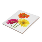 Gerbera Daisy Tegeltje (Zijkant)