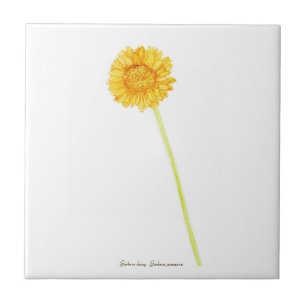 Gerbera daisy tegeltje