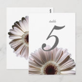 Gerbera Daisy / Trouwtafel Kaart (Voorkant / Achterkant)