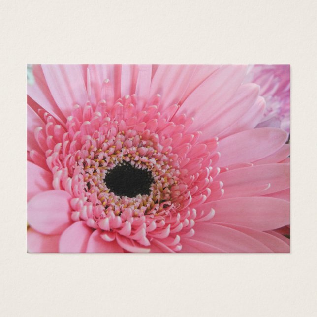 Gerbera Daisy Visitekaartje (Voorkant)