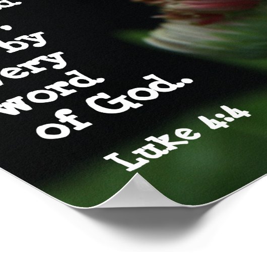 Gerbera Daisy w/ Scripture Verse (Luke 4:4) Poster (Hoek)