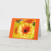 Gerbera Daisy Wenskaart Kaart (Voorkant)