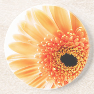 Gerbera Daisy Zandsteen Onderzetter