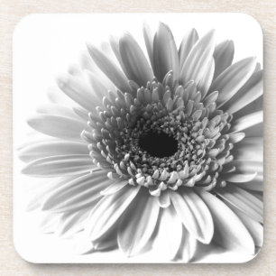 Gerbera Drankjes Onderzetter