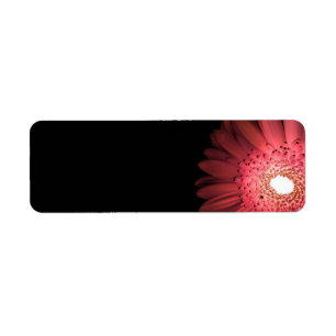 Gerbera Etiket