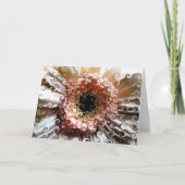 GERBERA FLOWER KAART (Voorkant)