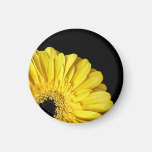 Gerbera Flower Magneet