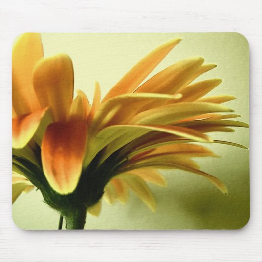 Gerbera Flower Mousepad Muismat (Voorkant)