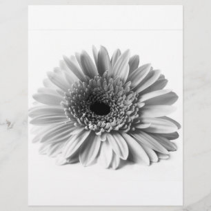 Gerbera Flyer