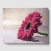 Gerbera Funeral Memorial Souvenir Livre d'or (Verso)