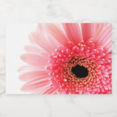 Gerbera-gerbera Voedselcontainer Etiket (Enkel label)