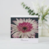 Gerbera Kaart (Staand voorkant)