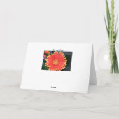 Gerbera Kaart (Achterkant)